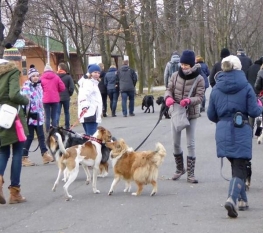 Spacer z kursantami Canid Katowice 02.2016