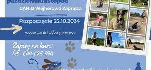 Rozpoczęcie kursu szkolenia psów P1 w ORLU 22.10.2024