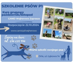 Rozpoczęcie kursu szkolenia psów P1 w ORLU 22.10.2024